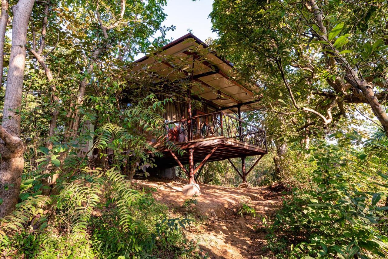 Kanha Jungle Camp Екстериор снимка