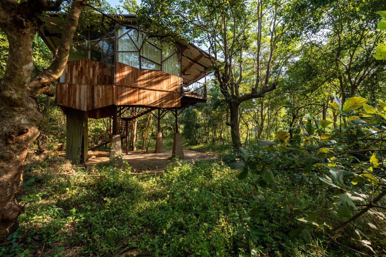 Kanha Jungle Camp Екстериор снимка
