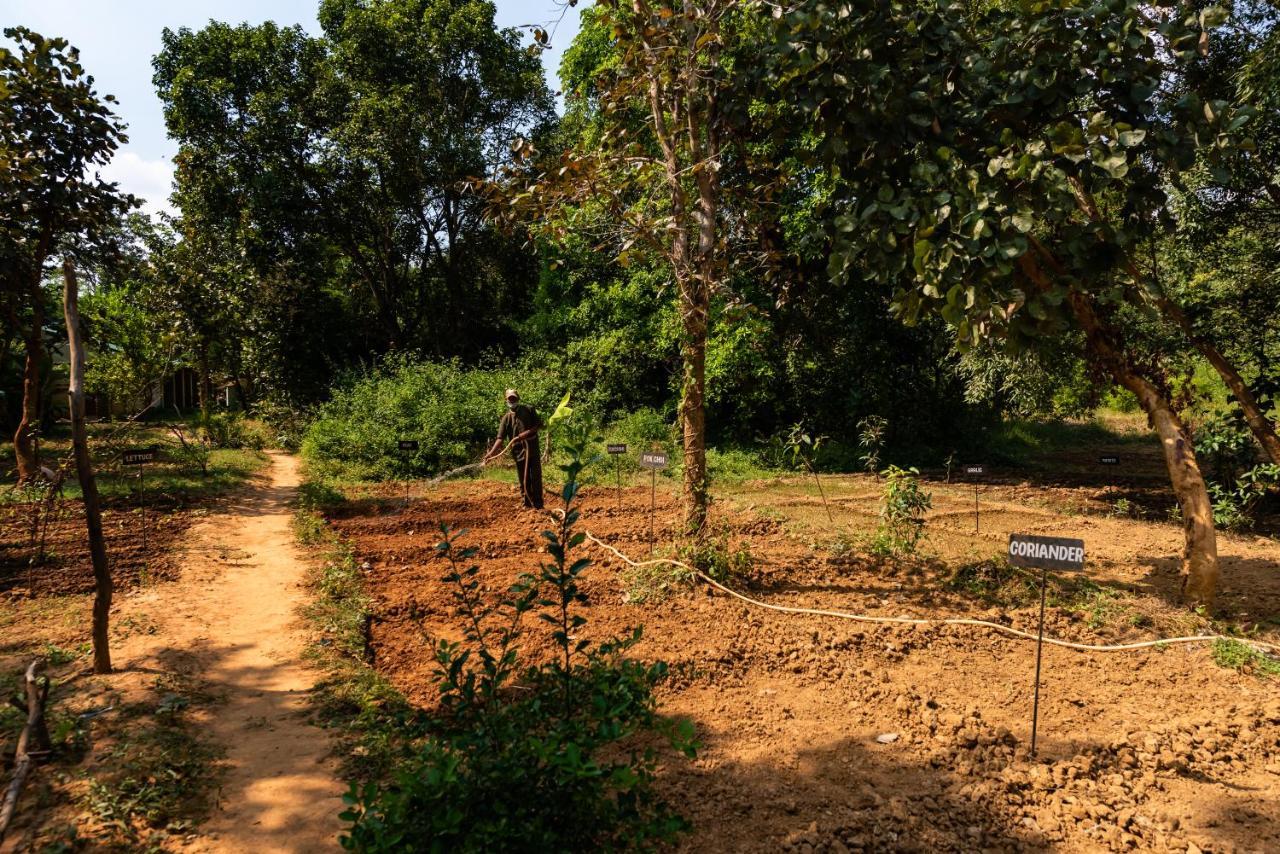 Kanha Jungle Camp Екстериор снимка